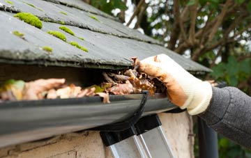 gutter cleaning Holly Green